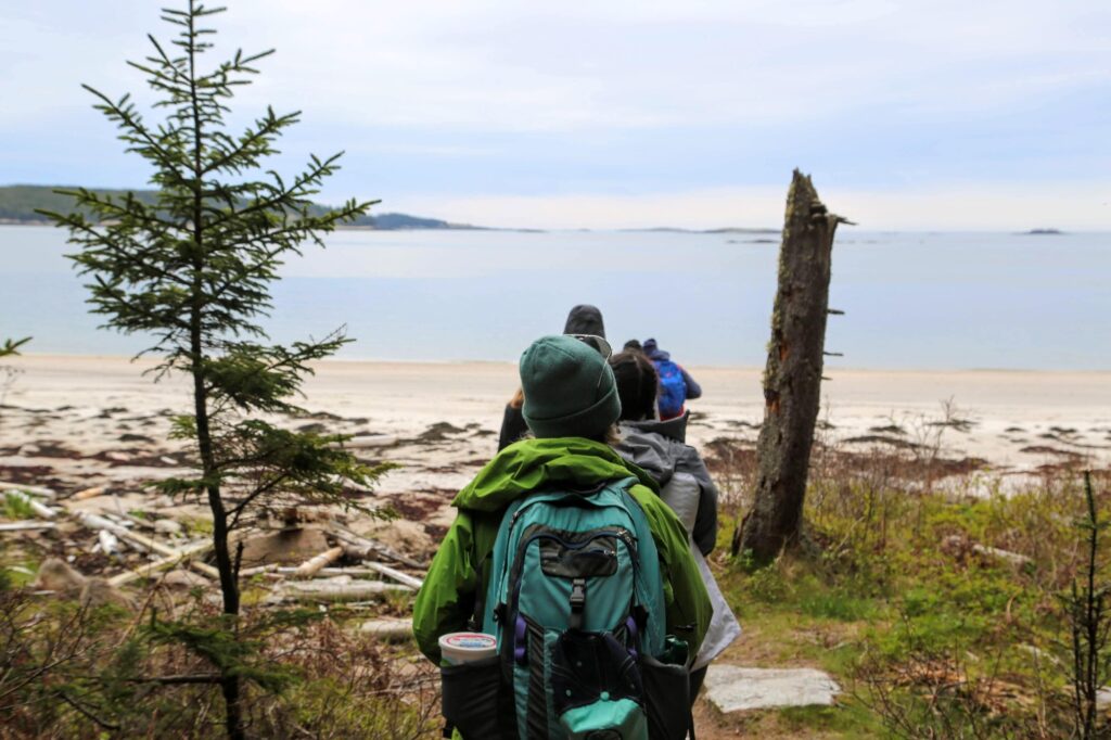 Maine Coast