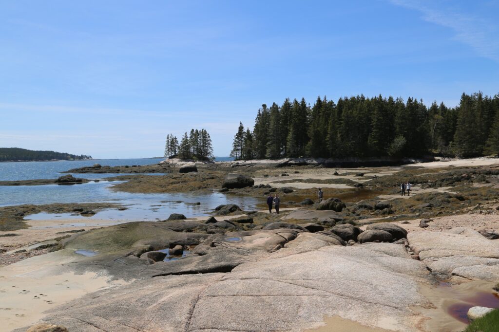Maine Coast | volunteering benefits for students