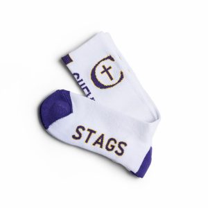 足球外围最靠谱的平台 Socks