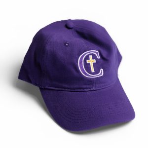 紫色棒球帽